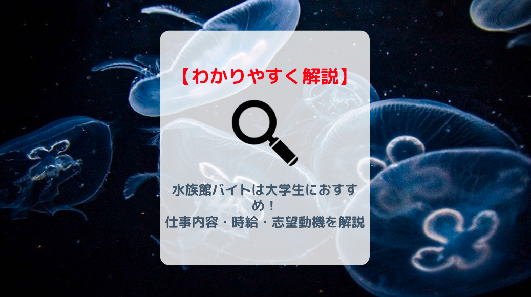 水族館バイトは大学生におすすめ 仕事内容 時給 志望動機を解説 バイト 仕事みつかるマガジン 水族館バイトは大学生におすすめ 仕事内容 時給 志望動機を解説 バイト 仕事みつかるマガジン